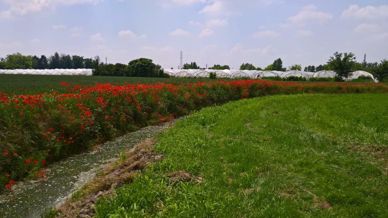 Agriturismo Cipolli E Podo Corte Carlini مانتوفا المظهر الخارجي الصورة