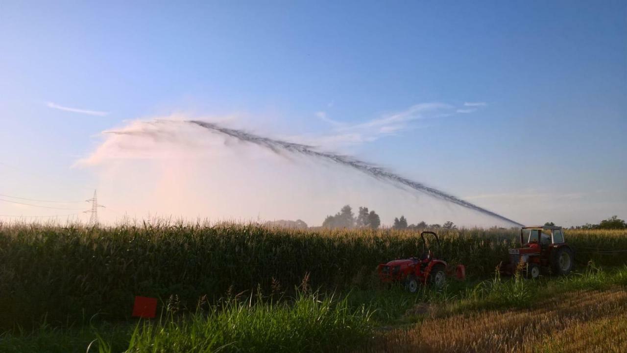 Agriturismo Cipolli E Podo Corte Carlini مانتوفا المظهر الخارجي الصورة